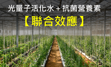 光量子活化水＋抗菌營養素的聯合效應